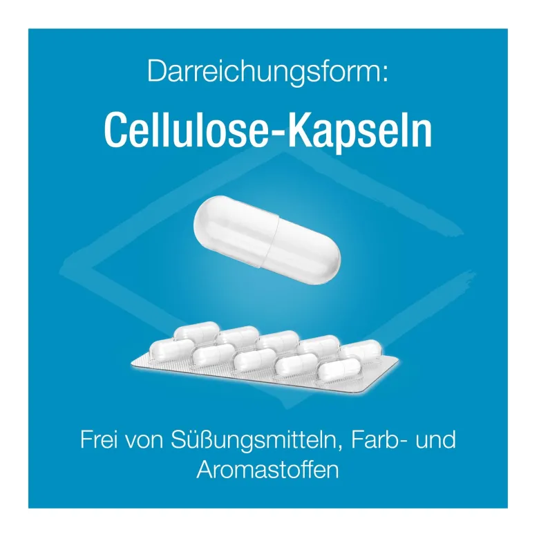 Magnesium Verla purKaps Vegane Kapseln zum Einnehmen, 60 St