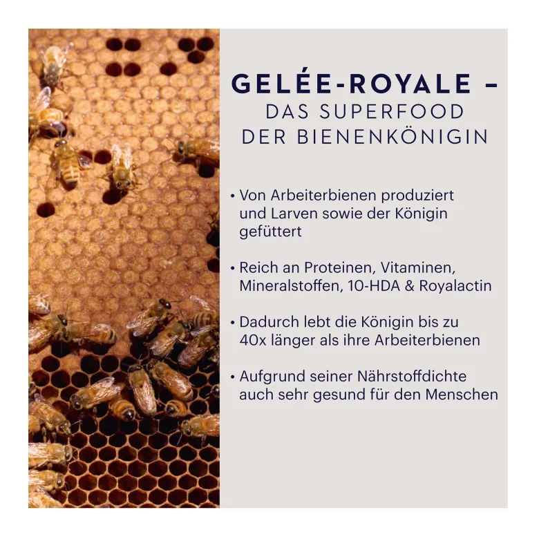 Manuka Honig MGO 400+ mit Gelee Royale, 250 g