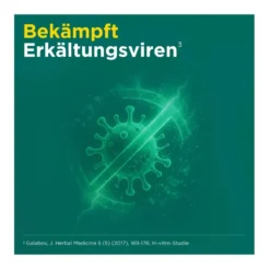 Meditonsin Extract, 60 St