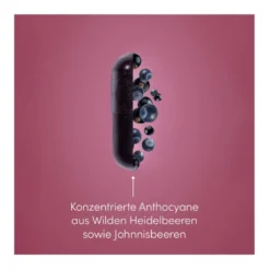 Medox Anthocyane aus wilden Beeren Kapseln, 30 St
