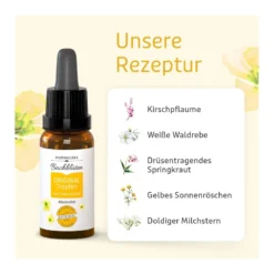 Murnauer Bachblüten Original Tropfen ohne Alkohol, 20 ml