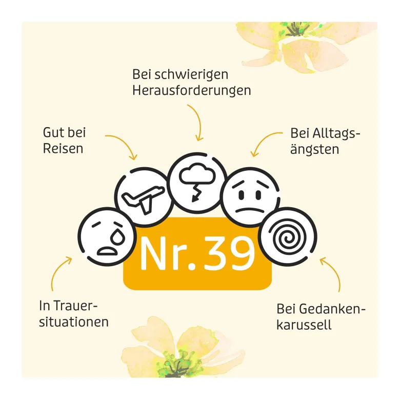 Murnauer Bachblüten Original Tropfen ohne Alkohol, 20 ml