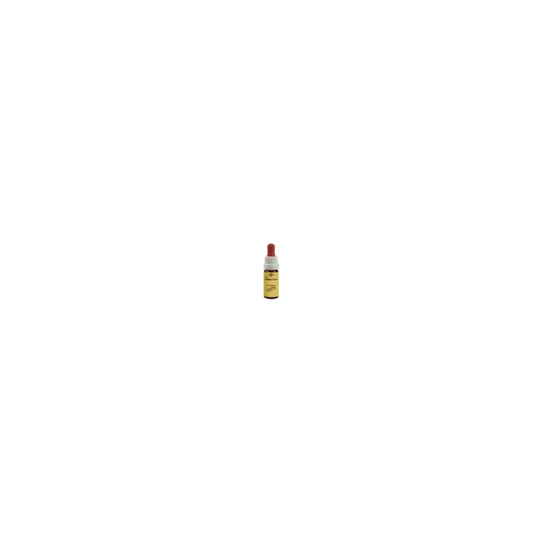 Murnauers Bachblüten Holly, 20 ml