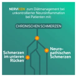Nervixen Tabletten, 20 St