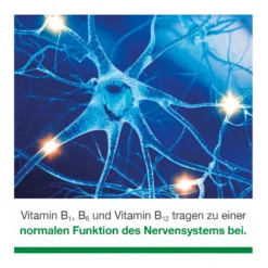 neuroLoges concept Kapseln, 60 St