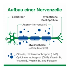 neuroLoges concept Kapseln, 60 St