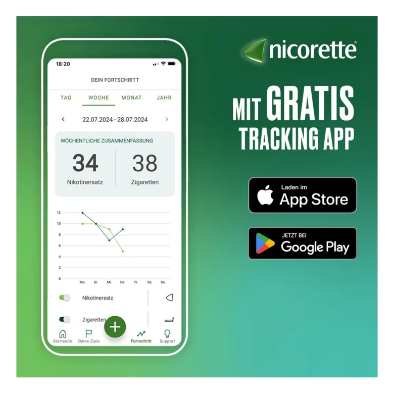 Nicorette Fruit & Mint Spray 1 mg/Sprühstoß, 2 St