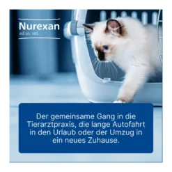 Nurexan ad us. vet. Tabletten, 100 St
