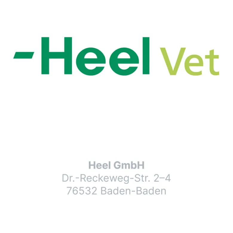 Nurexan ad us. vet. Tabletten, 100 St