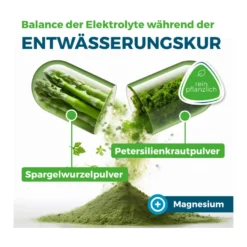 Nyrax Aqua Balance Phytokomplex während Entwässerungs-Kuren, 100 St