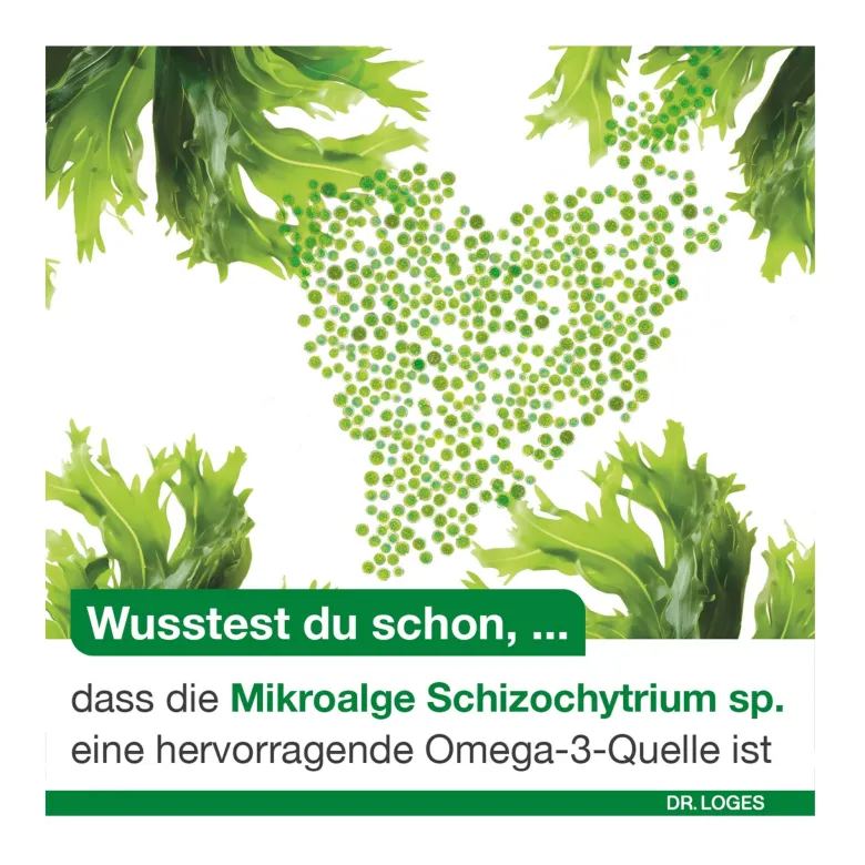 Omega 3-Loges pflanzlich Kapseln, 120 St