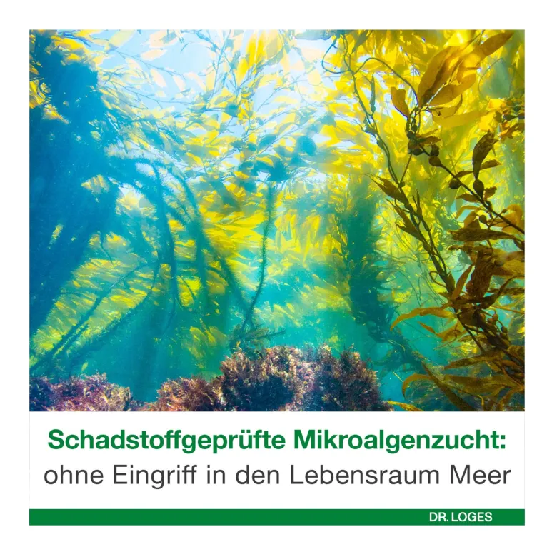 Omega 3-Loges pflanzlich Kapseln, 120 St