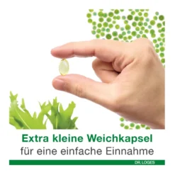 Omega 3-Loges pflanzlich Kapseln, 120 St