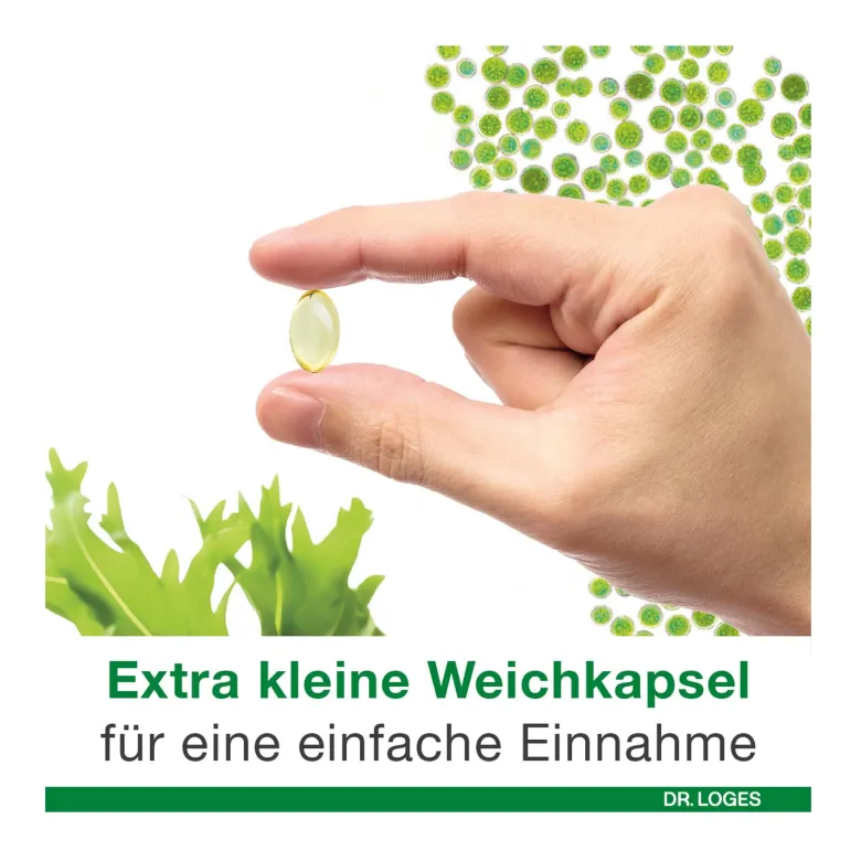 Omega 3-Loges pflanzlich Kapseln, 120 St