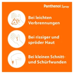 Panthenol Spray, zur Wundheilung der Haut, 130 g