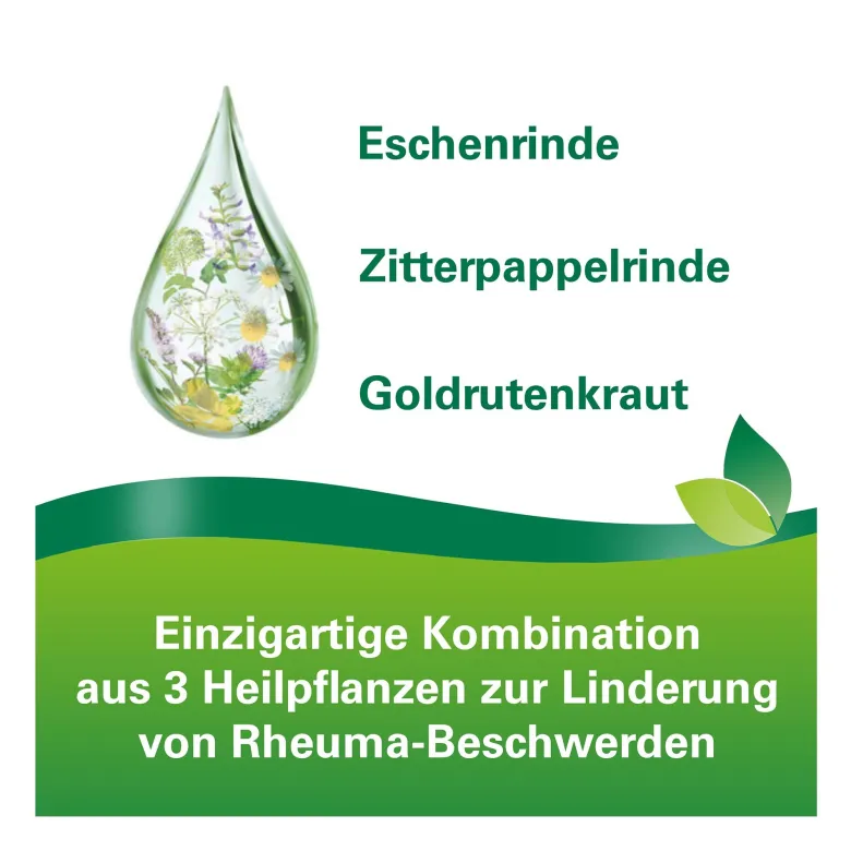 Phytodolor Tinktur, 100 ml