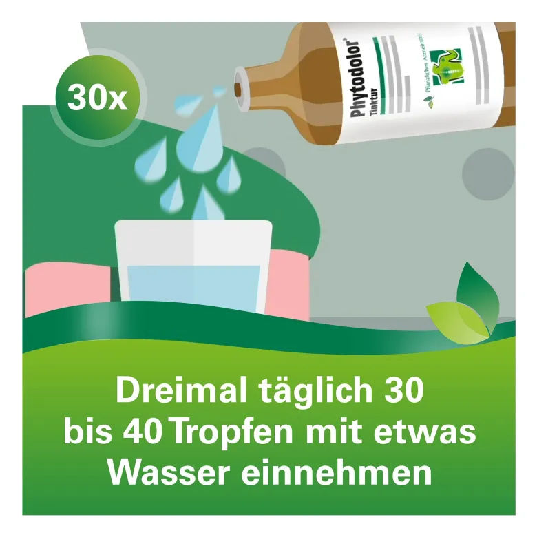 Phytodolor Tinktur, 100 ml