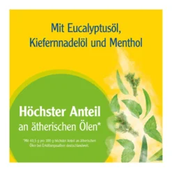 Pinimenthol Erkältungssalbe, 20 g