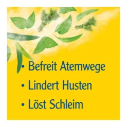 Pinimenthol Erkältungssalbe, 20 g