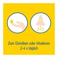 Pinimenthol Erkältungssalbe, 20 g