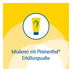 Pinimenthol Inhalator, 1 St