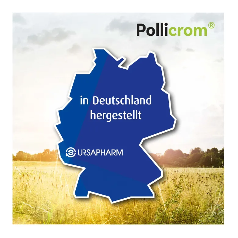 Pollicrom 20 mg/ml Nasenspray, 15 ml