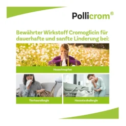 Pollicrom 20 mg/ml Nasenspray, 15 ml