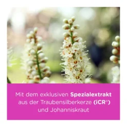 Remifemin plus Johanniskraut Filmtabletten, 60 St