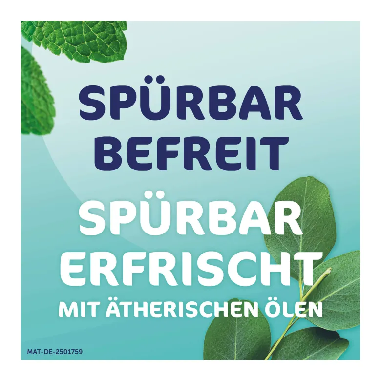Rhinospray plus bei Schnupfen mit Feindosierer, 10 ml