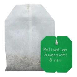 Salus Bachblüten Tee Motivation & Zuversicht, 15 St