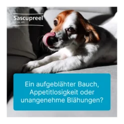 Sascupreel ad us. vet. Tabletten, 100 St