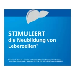 Silymarin Stada 109 mg Hartkapseln, 100 St