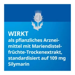 Silymarin Stada 109 mg Hartkapseln, 100 St