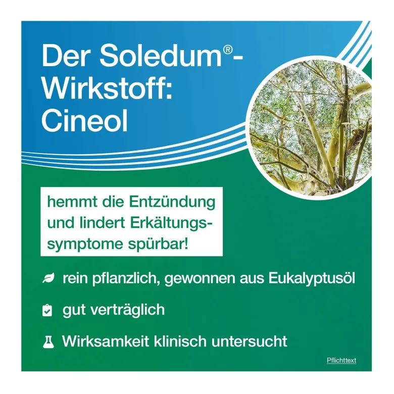 Soledum Kapseln forte 200 mg, 20 St
