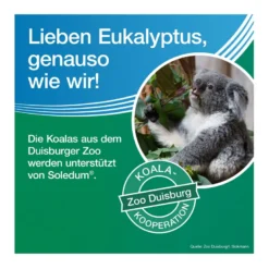 Soledum Kapseln forte 200 mg, 20 St