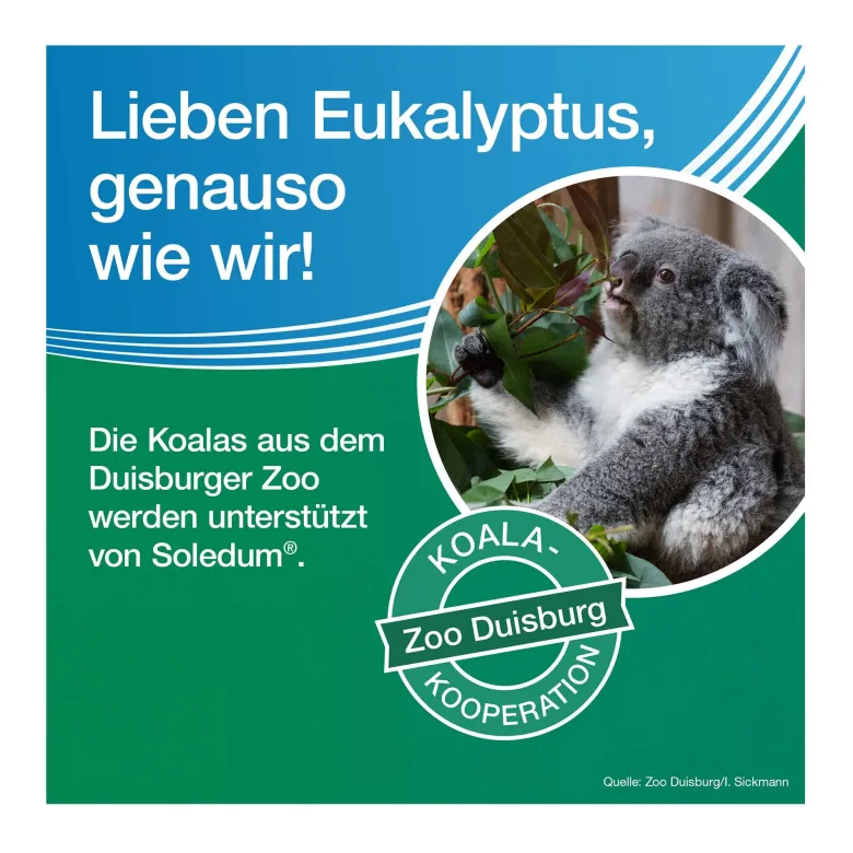 Soledum Kapseln forte 200 mg, 20 St