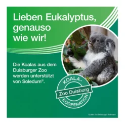 Soledum, 100 St