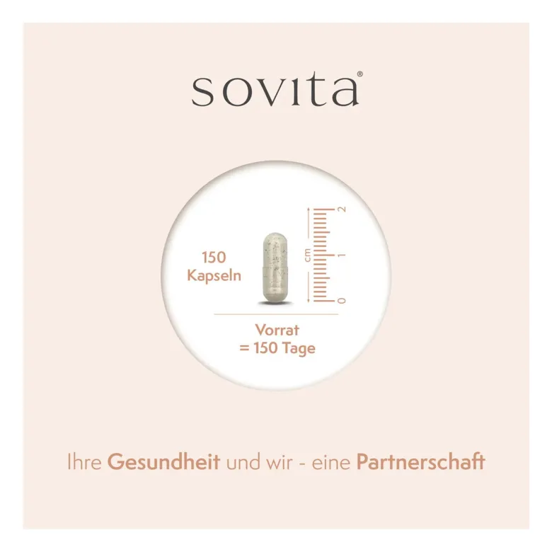 Sovita Eisen Plus Vitamin C Kapseln, 150 St
