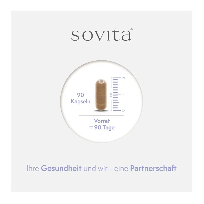 Sovita Q10 Premium Kapseln, 90 St