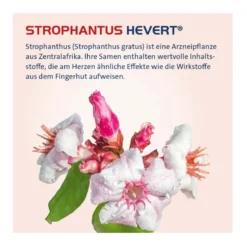 Strophanthus Hevert Tropfen, 100 ml