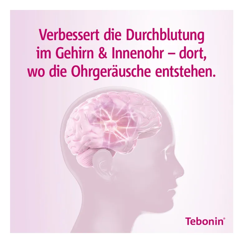 Tebonin intens 120 mg Filmtabletten, 30 St