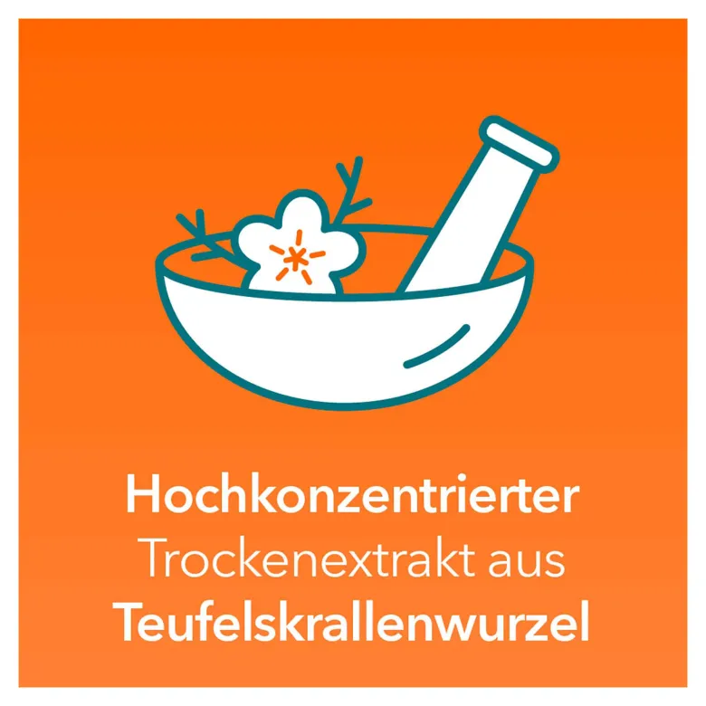 Teufelskralle ratiopharm - bei Gelenkschmerzen, 200 St