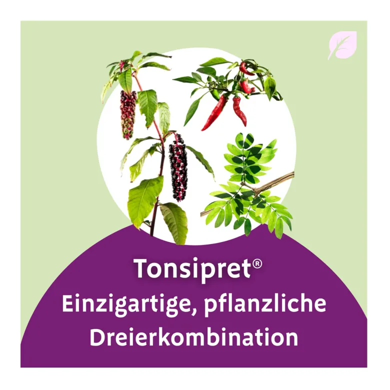 Tonsipret Tabletten, 50 St
