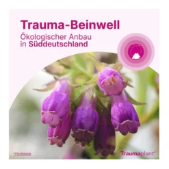 Traumaplant Schmerzcreme, 150 g