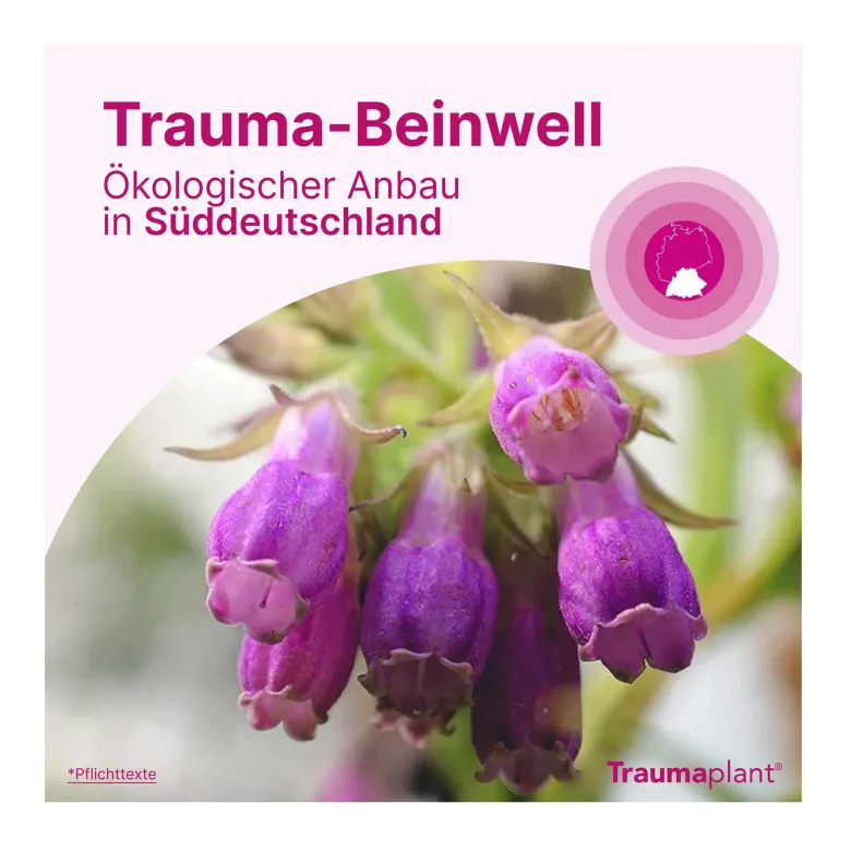 Traumaplant Schmerzcreme, 150 g