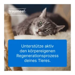 Traumeel T ad us. vet. Tabletten, 100 St