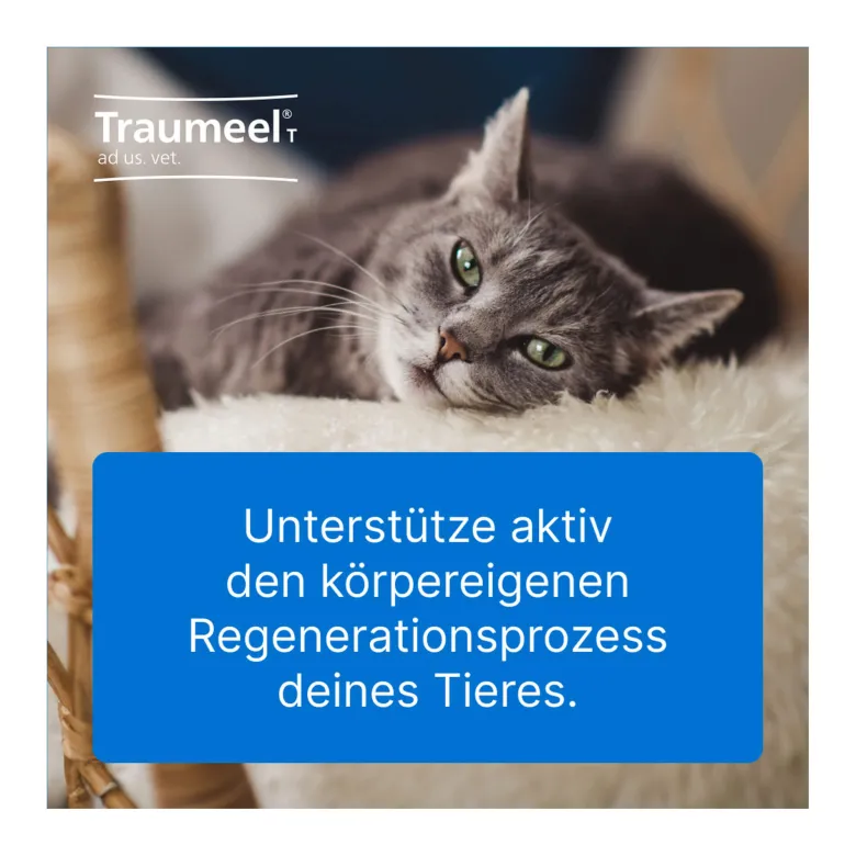 Traumeel T ad us. vet. Tabletten, 100 St