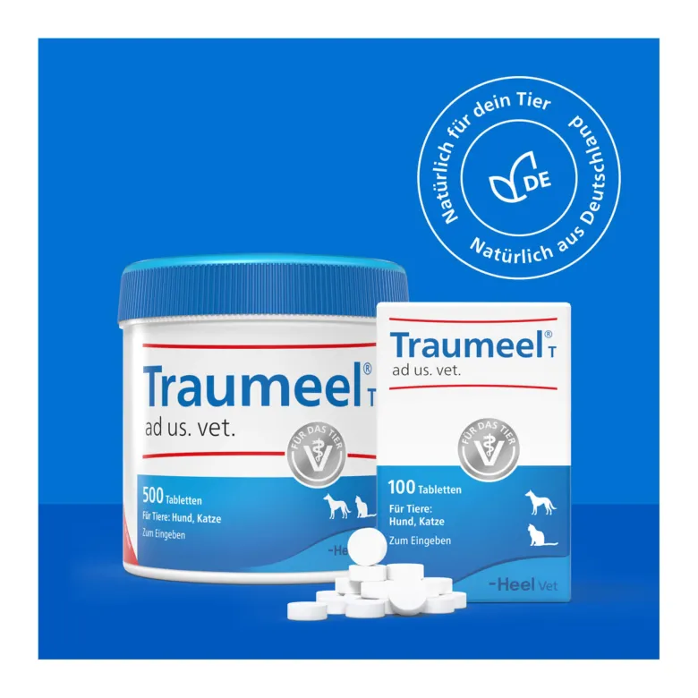 Traumeel T ad us. vet. Tabletten, 100 St
