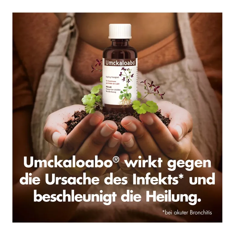 Umckaloabo Tropfen, 100 ml