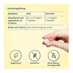 Vertigo Hevert SL Tabletten, 260 St